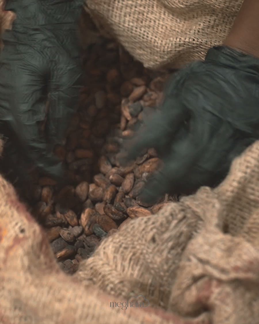 Hands sorting cacao beans at the Megham workshop