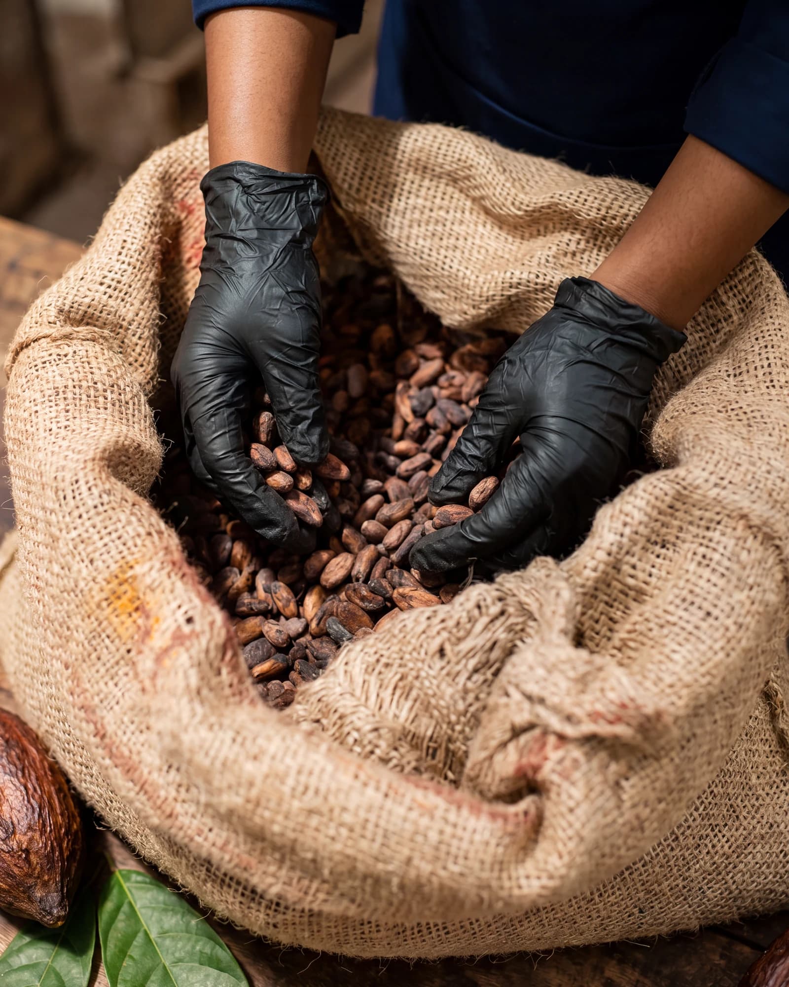 Single-origin cacao, grown in the fertile lowlands of Andhra Pradesh.